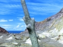 whiteisland (54)